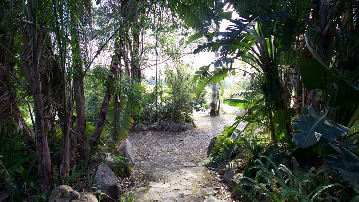 a View from The Cottage