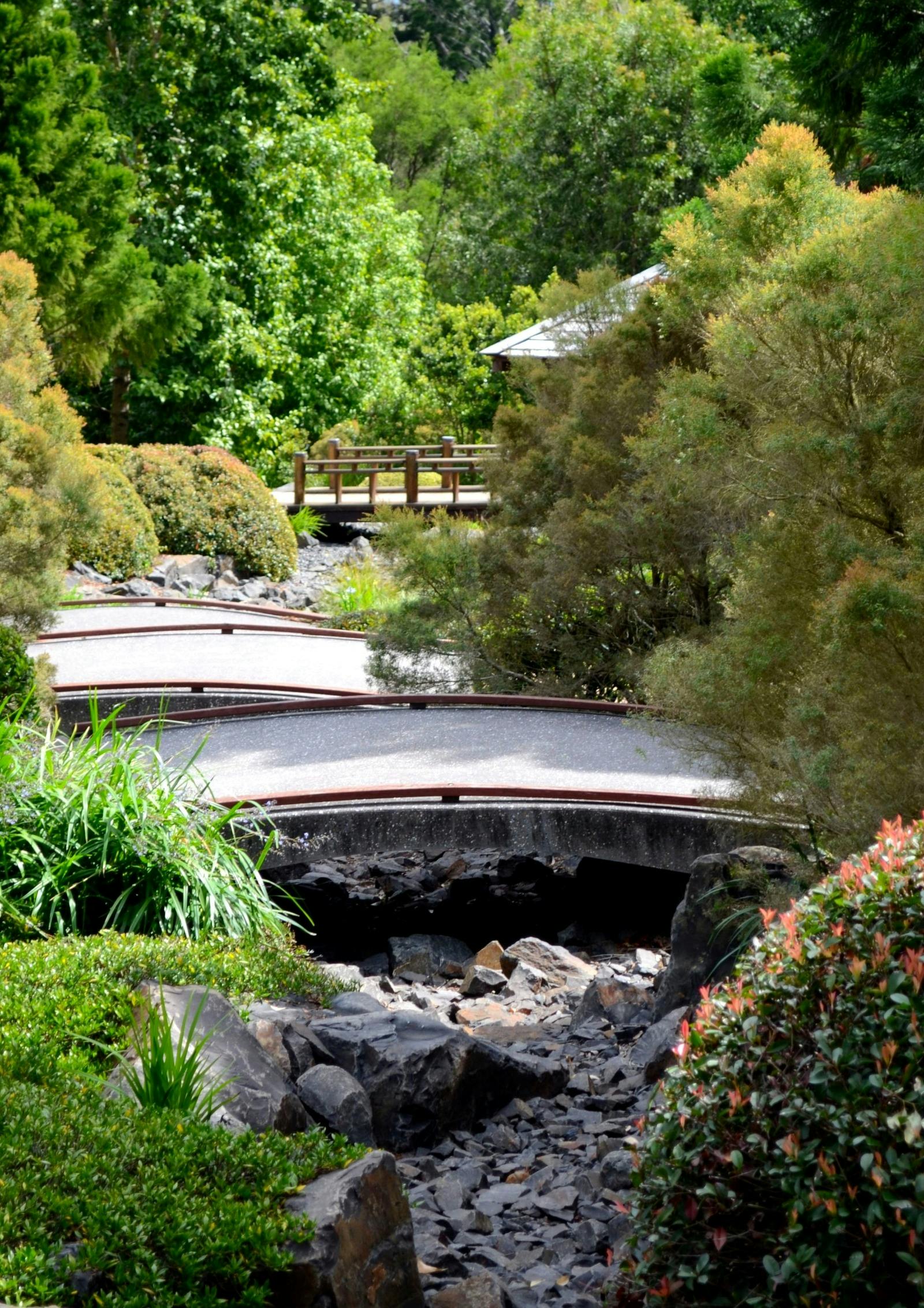 Nerima Gardens Japanese Tea Ceremony Experience