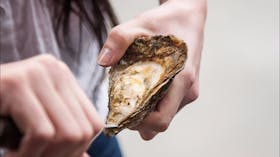 Fresh is best! Taste oysters fresh from the local farms