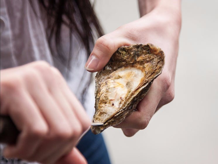 Fresh is best! Taste oysters fresh from the local farms