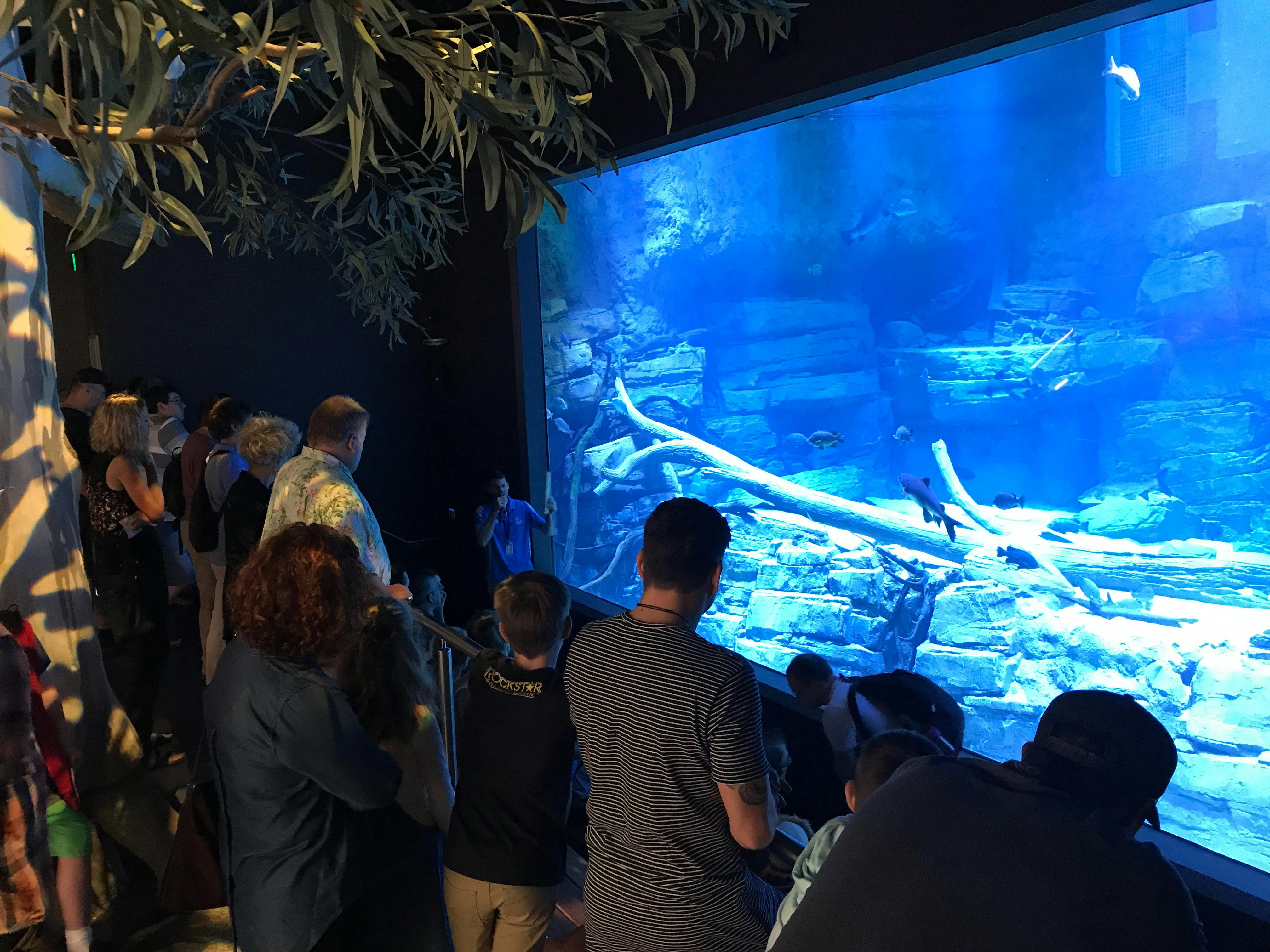 Cairns Aquarium