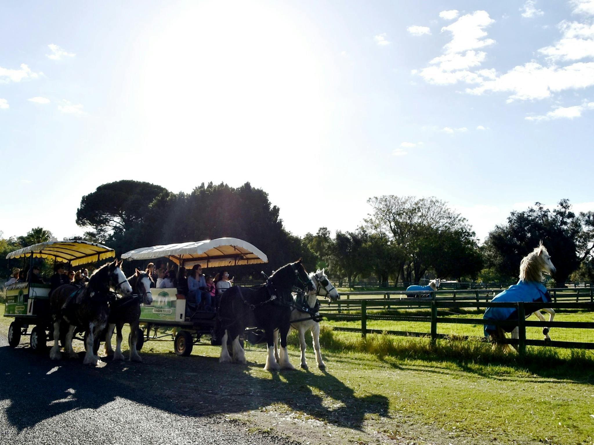 Swan Valley Wagon Tours, West Swan, Western Australia