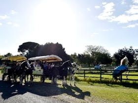 Swan Valley Wagon Tours, West Swan, Western Australia
