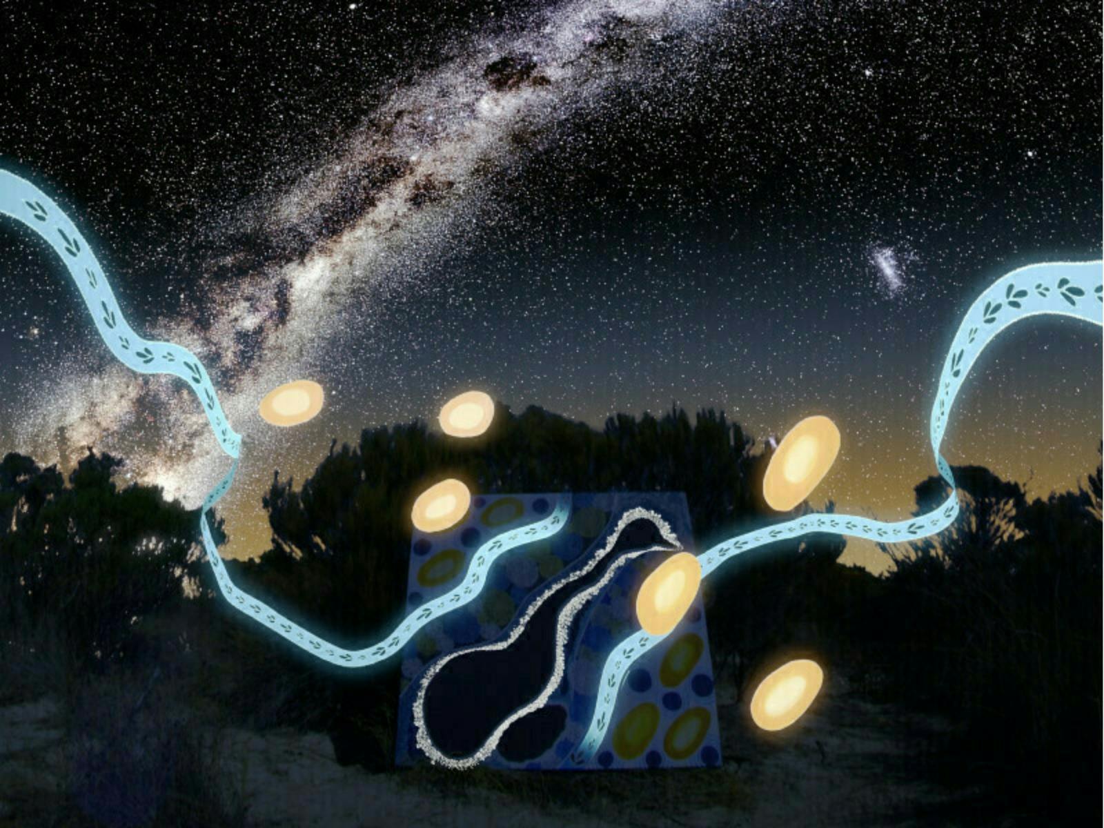 Whimsical light trails and orbs flow through a starlit landscape, blending art with the natural nigh