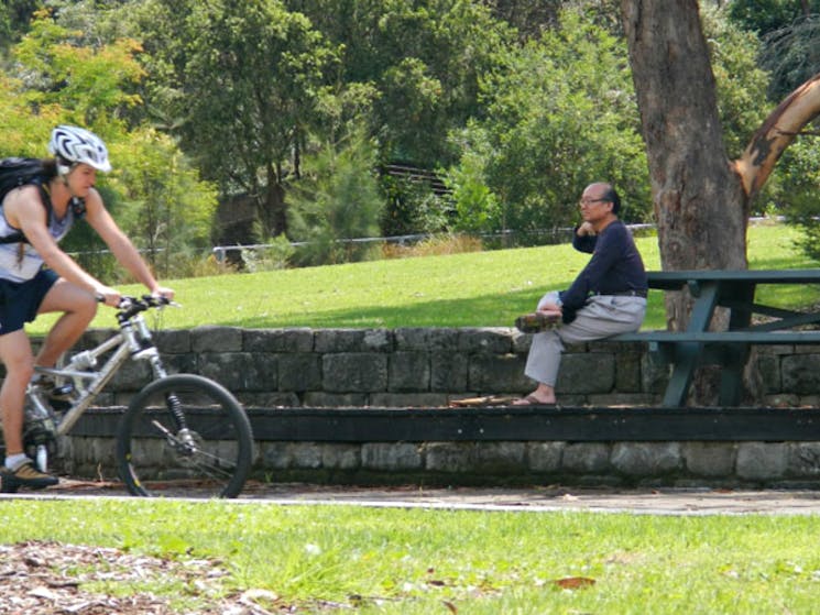 Cycle from Pennant Hills park to West Pymble, Lane Cove National Park. Photo: Debby McGerty.
