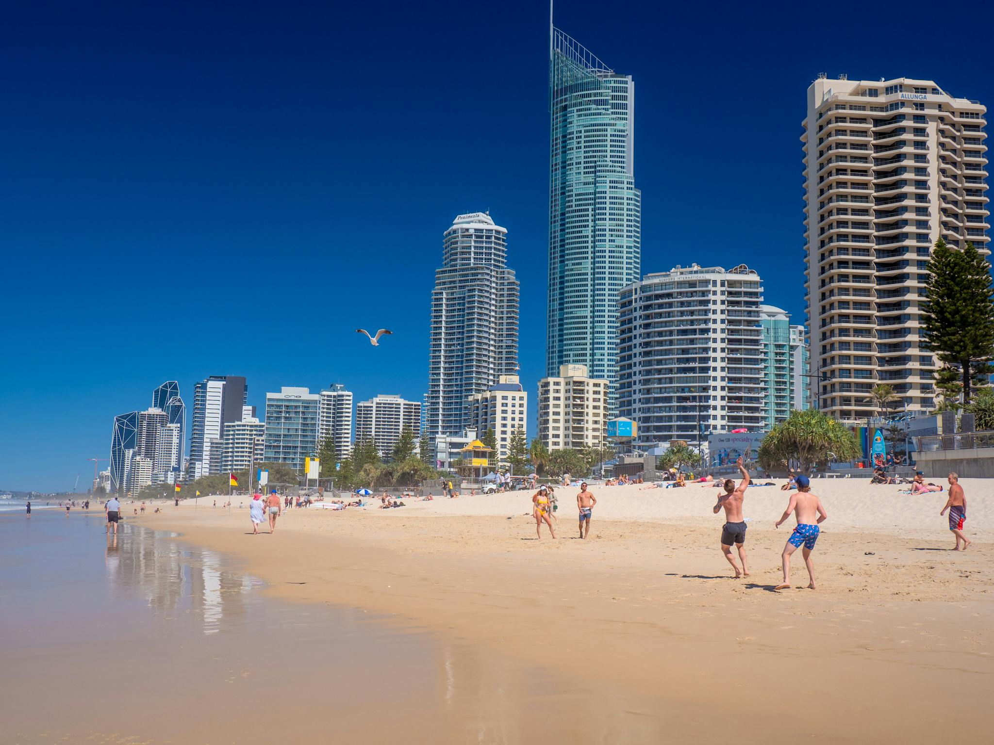 Surfer's Paradise - Gold Coast Surfer's Paradise - Gold Coast