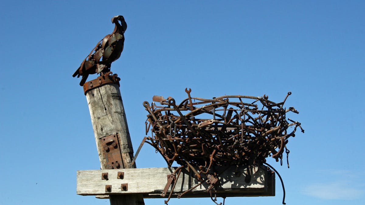 Eagle and Nest