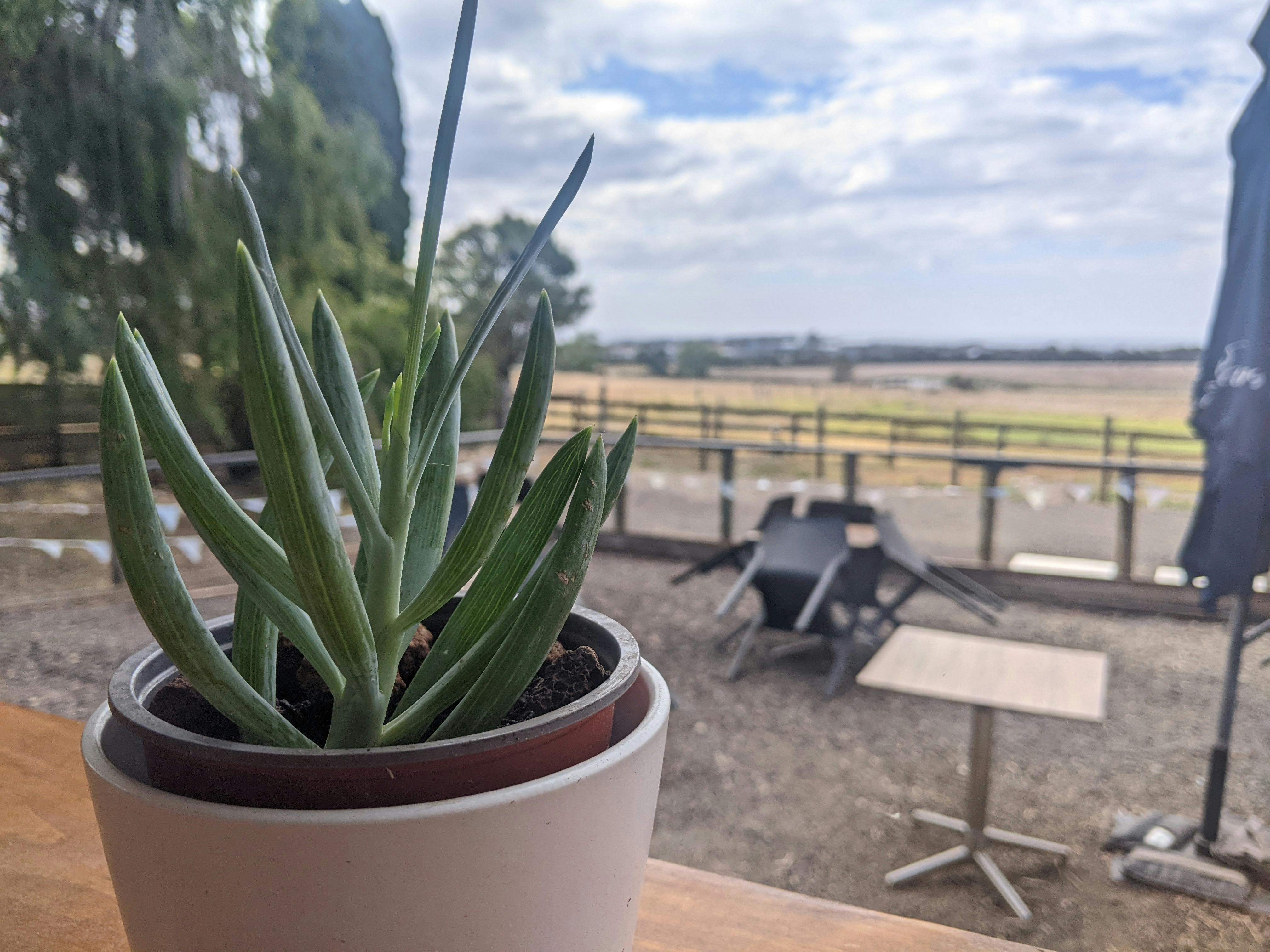 Grab a cup of coffee at the Artisans of Australia cafe