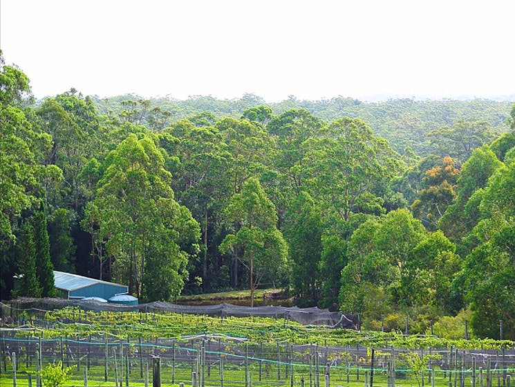 View over the property