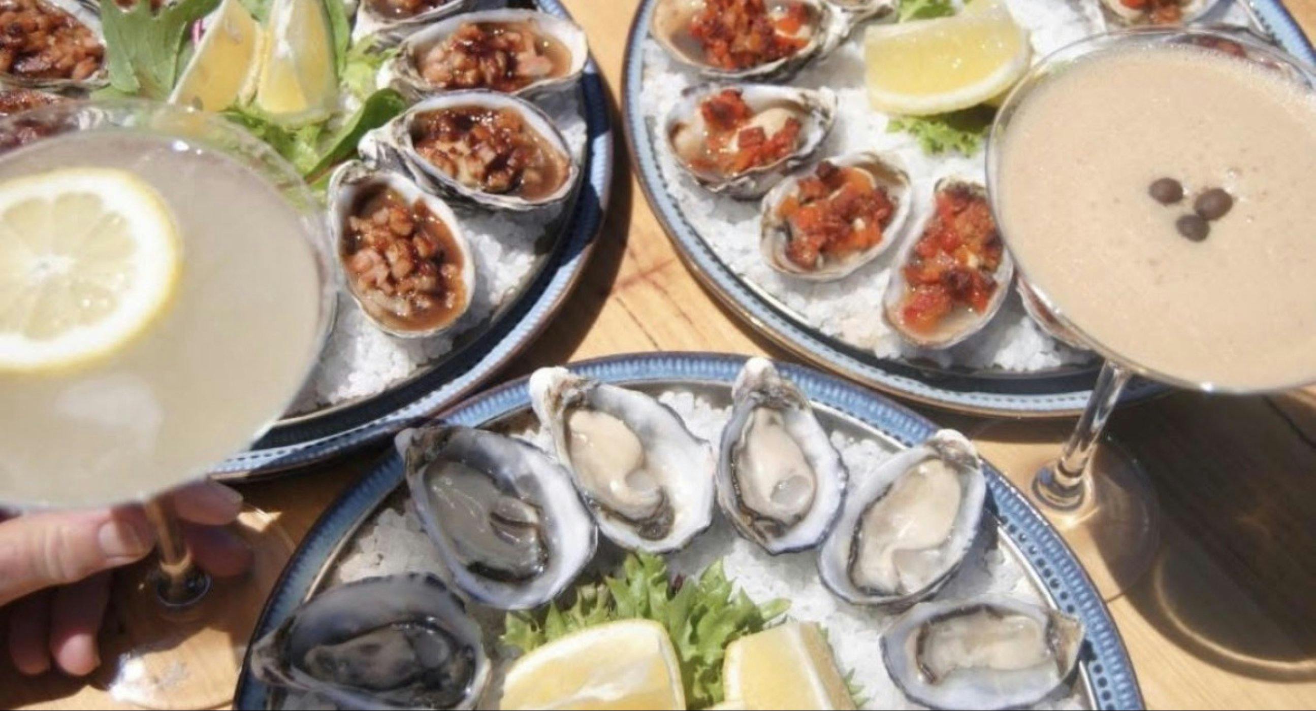 Oysters and cocktail