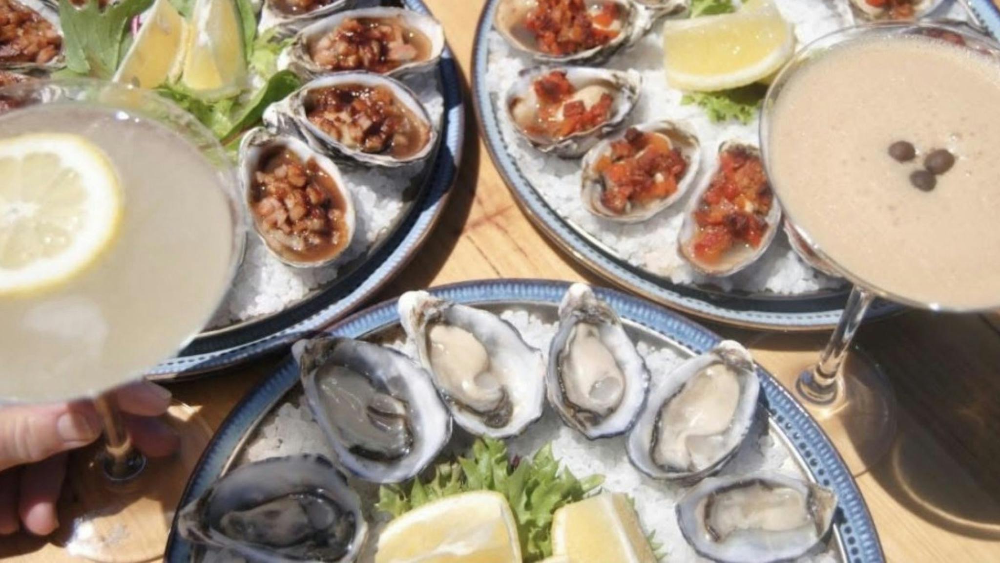 Oysters and cocktail