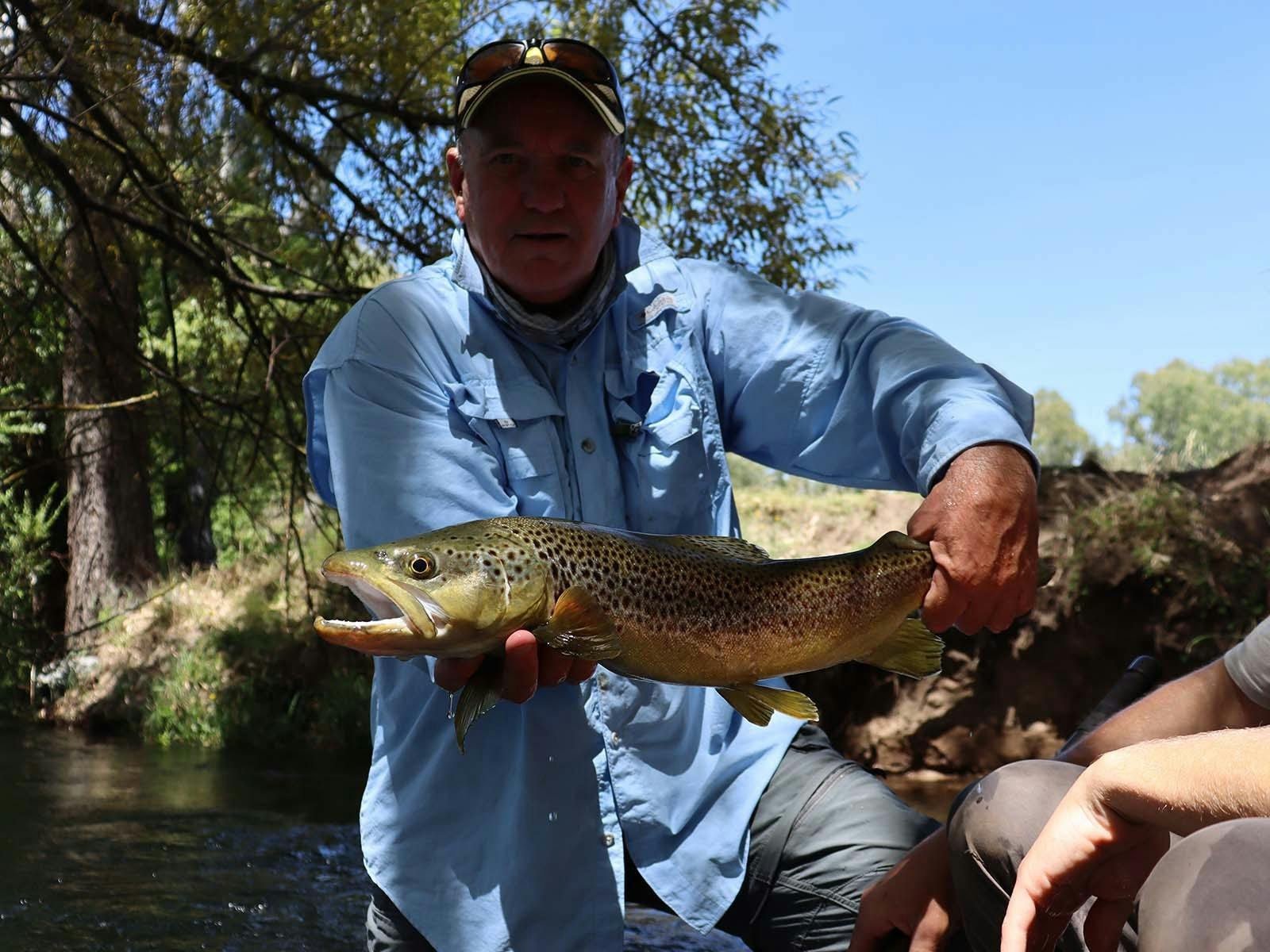 We get the better fish in the tumut. watch out for cheap immitations