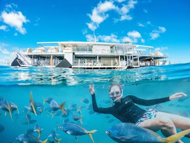 Heart Reef | Attractions | Queensland