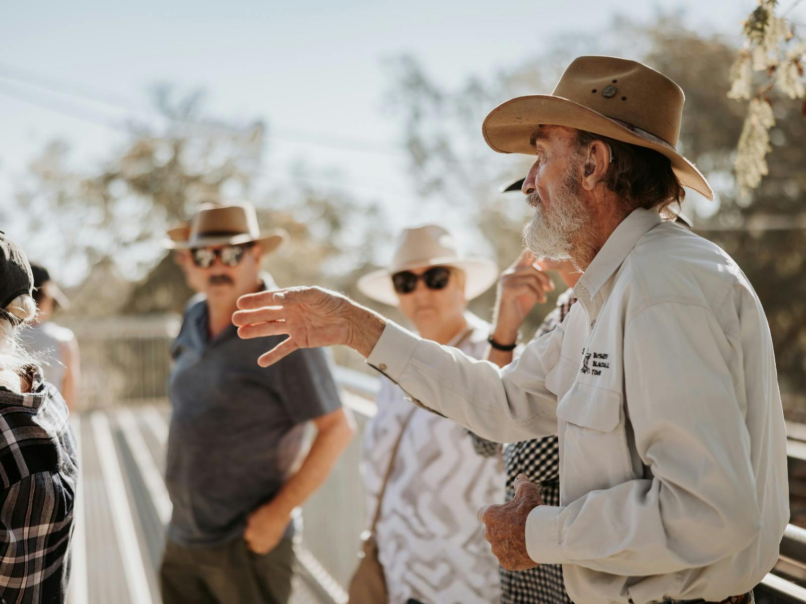Blackall Saleyard Tours