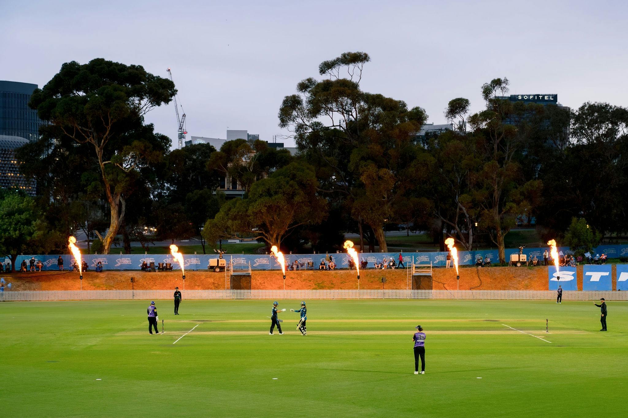 WBBL Adelaide Strikers