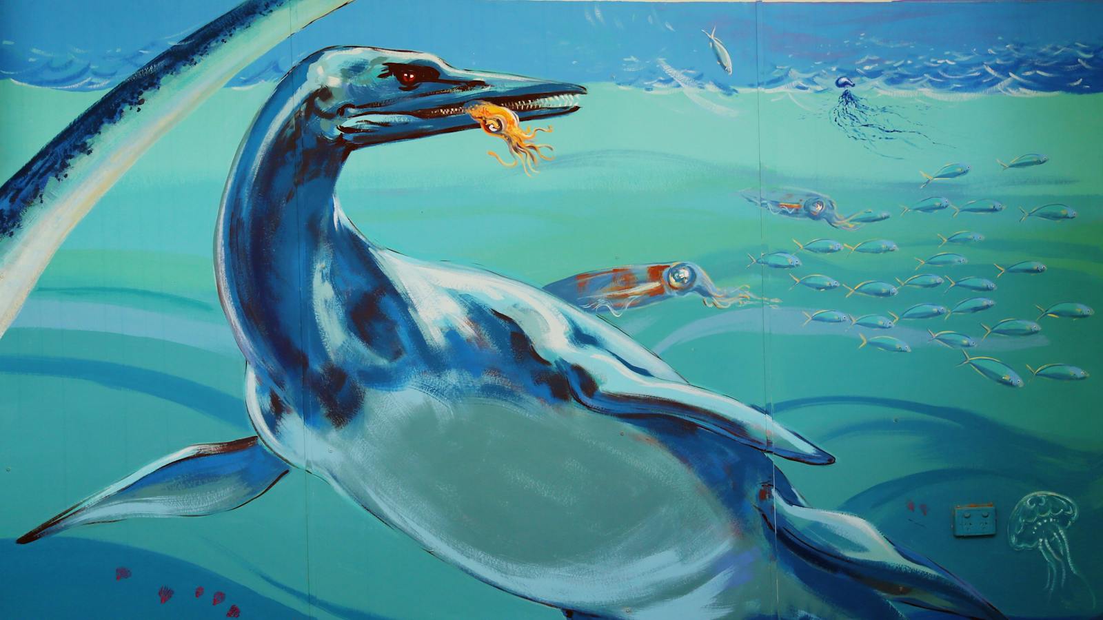 Boulia Marine Reptiles