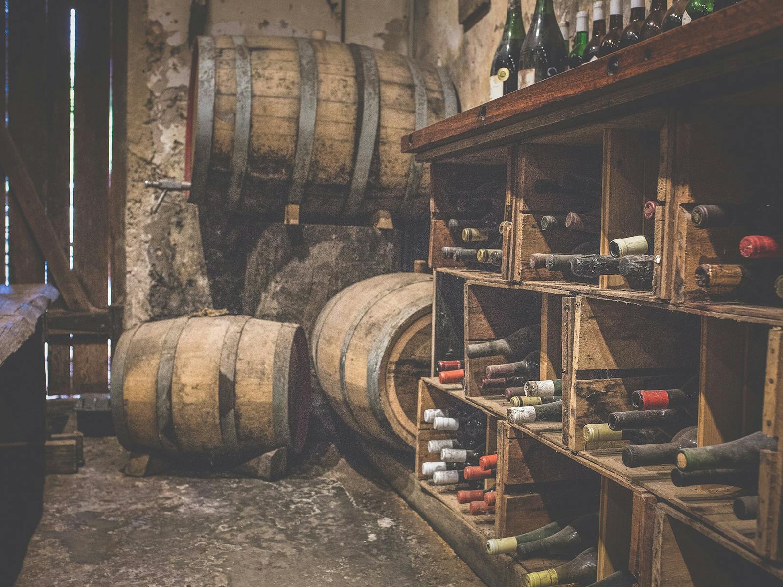 Brand's Laira of Coonawarra