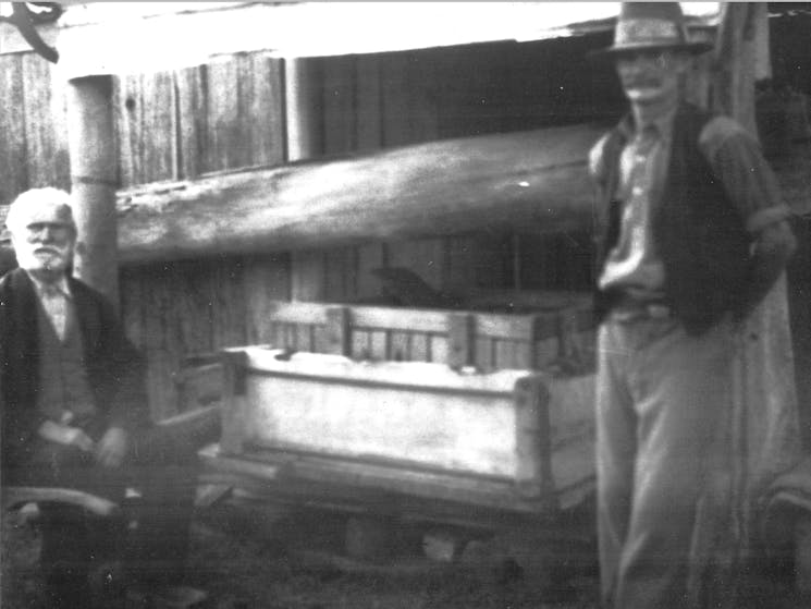 Drayton S Family Wines Nsw Holidays Amp Accommodation