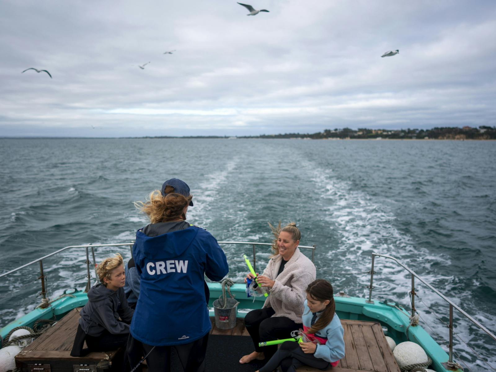 Family fun passionate qualified experienced crew polperro dolphin and seal swims