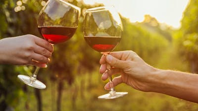 Canberra's wine district has many boutique wineries offering tasting experiences for wine lovers