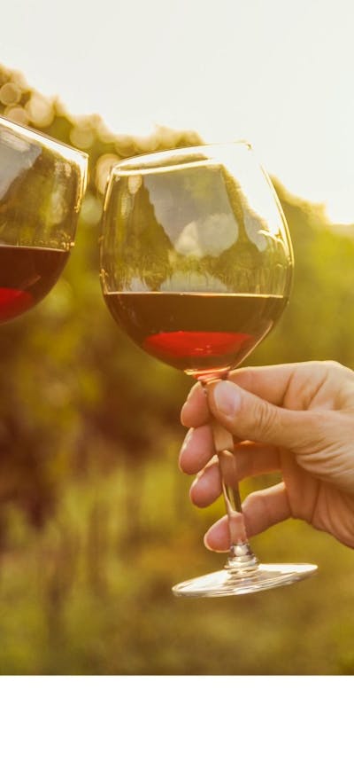 Canberra's wine district has many boutique wineries offering tasting experiences for wine lovers