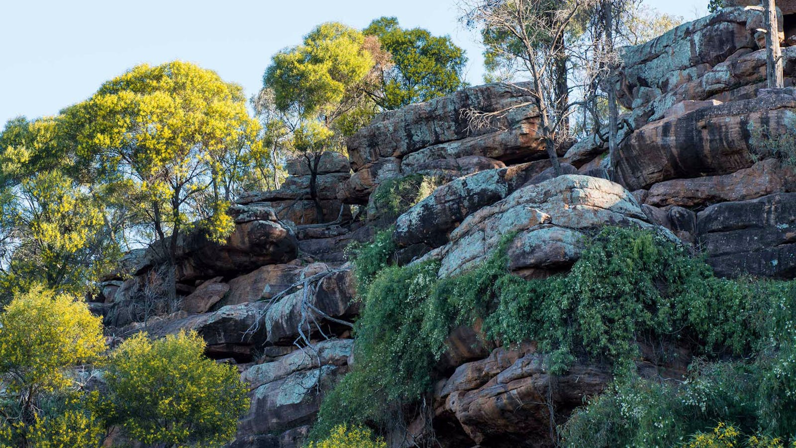 Falcon Falls walking track