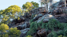 Falcon Falls walking track, Cocoparra National Park. Photo: John Spencer