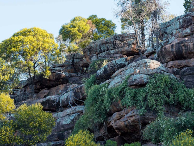 Falcon Falls walking track, Cocoparra National Park. Photo: John Spencer