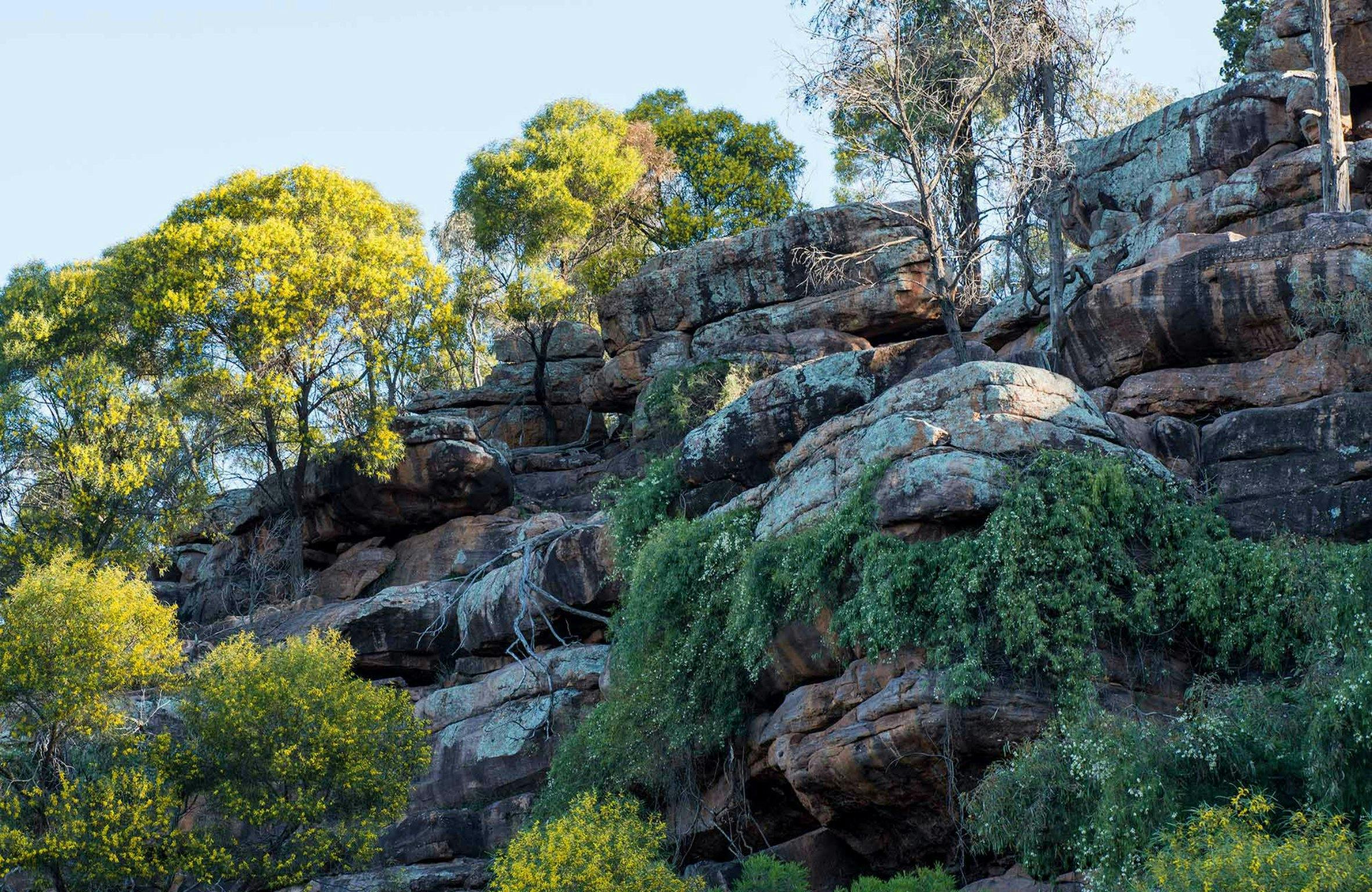 Falcon Falls walking track NSW Holidays & Things to Do