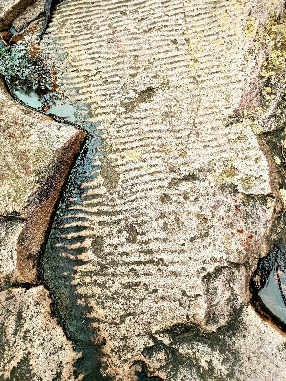 Rock with ripples from ancient sea-beds