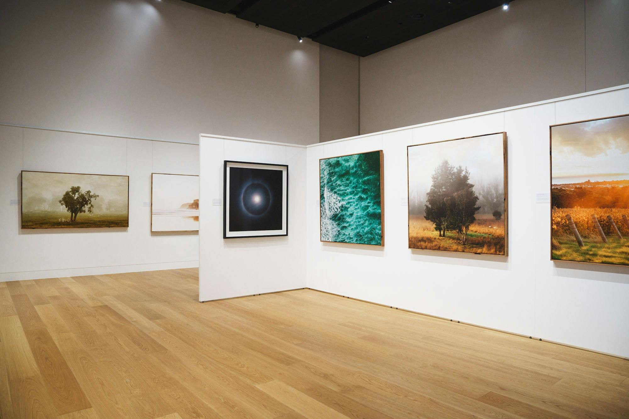Saltwater Gallery - Christian Fletcher Exhibition