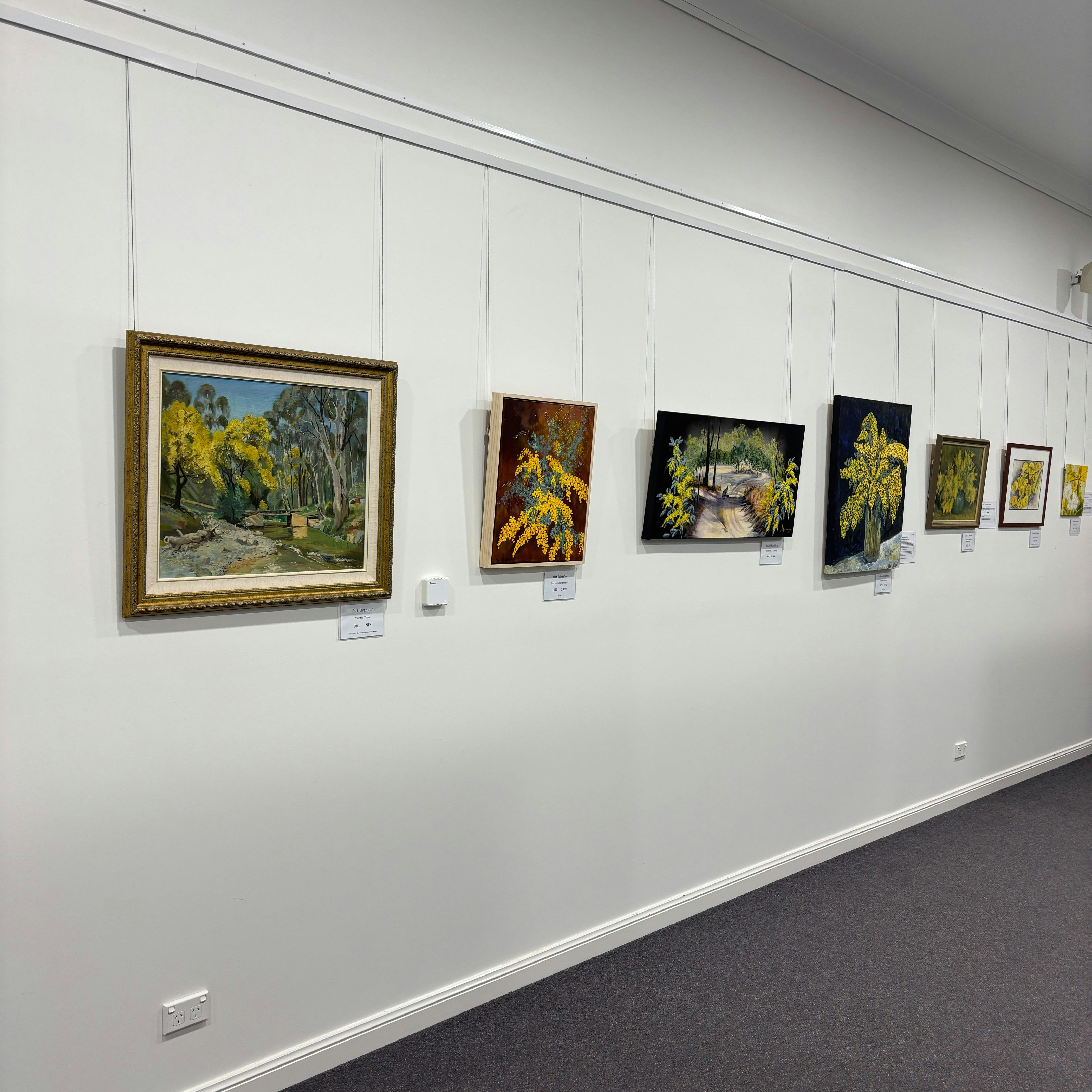 Exhibit: Wonderful Wattles by Weddin Landcare