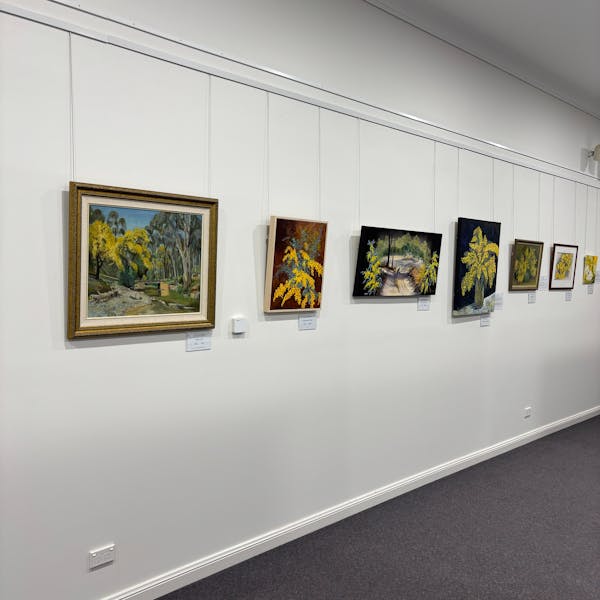 Exhibit: Wonderful Wattles by Weddin Landcare