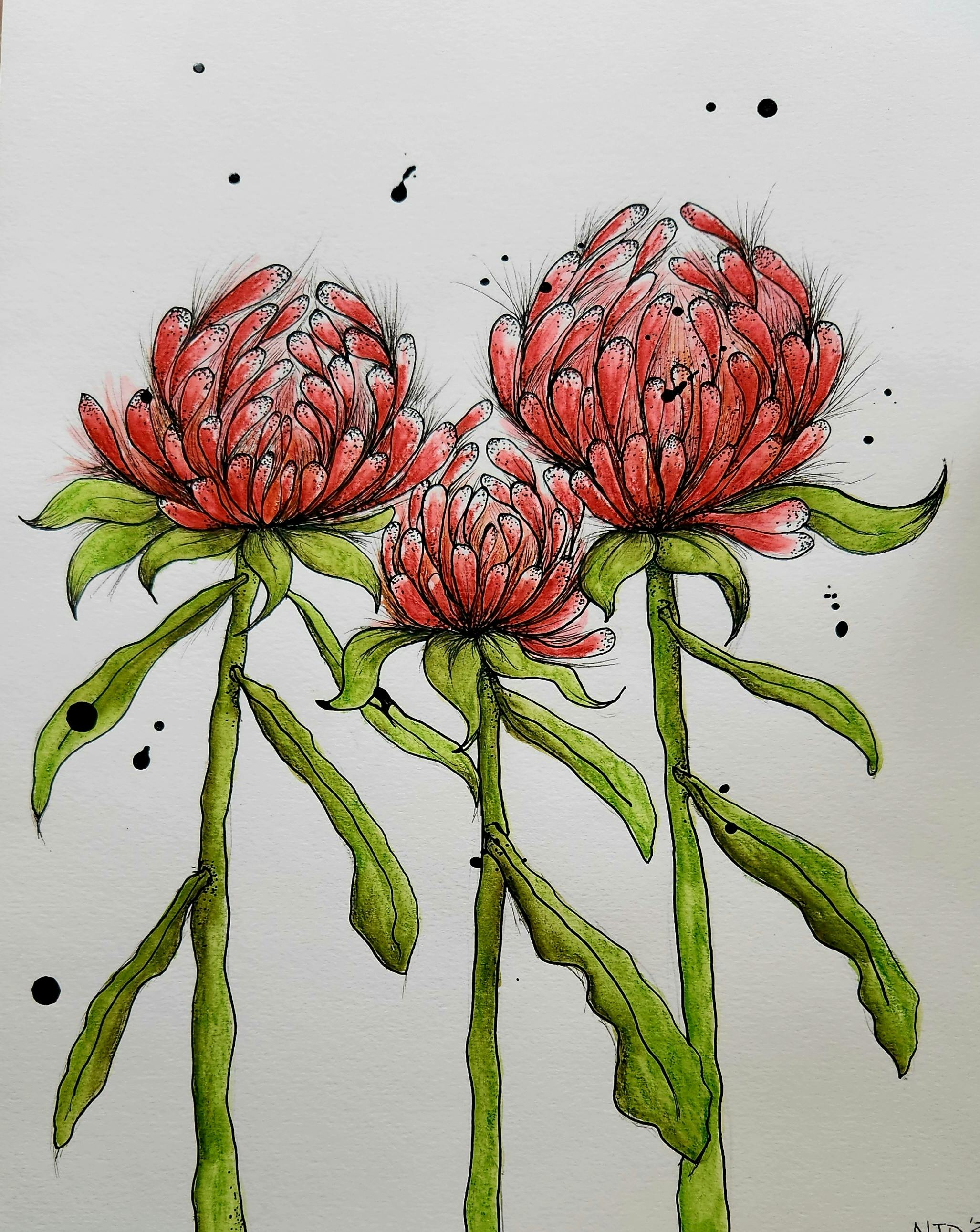 'In Full Bloom' an exhibition by Nicole Dixon
