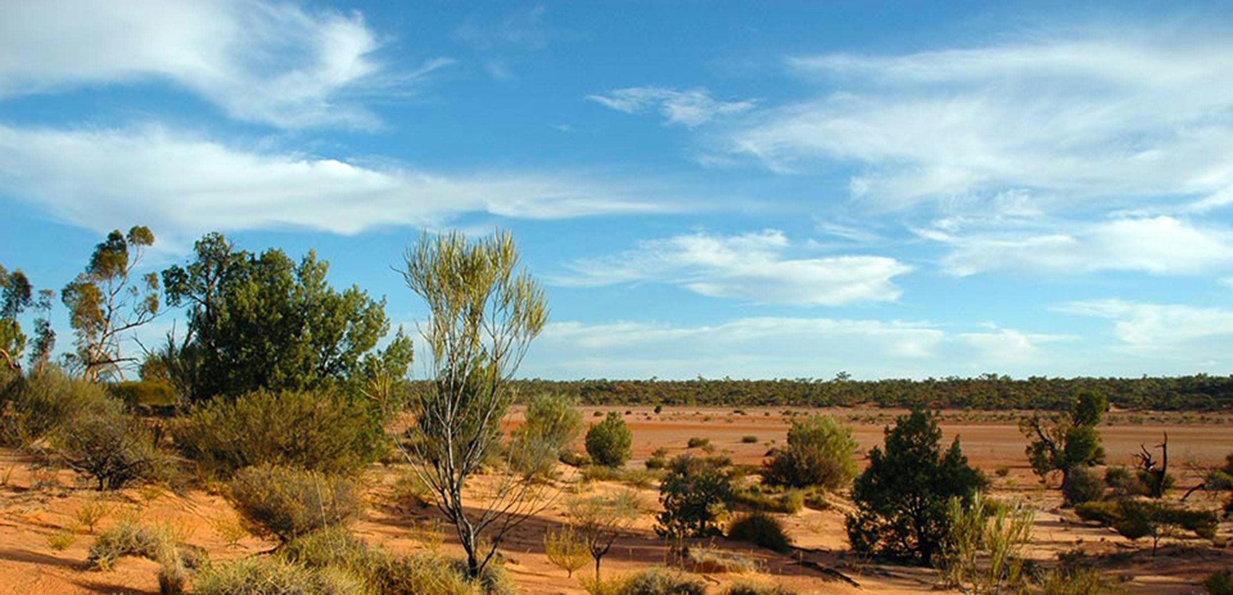 Claypan Great Victoria Desert