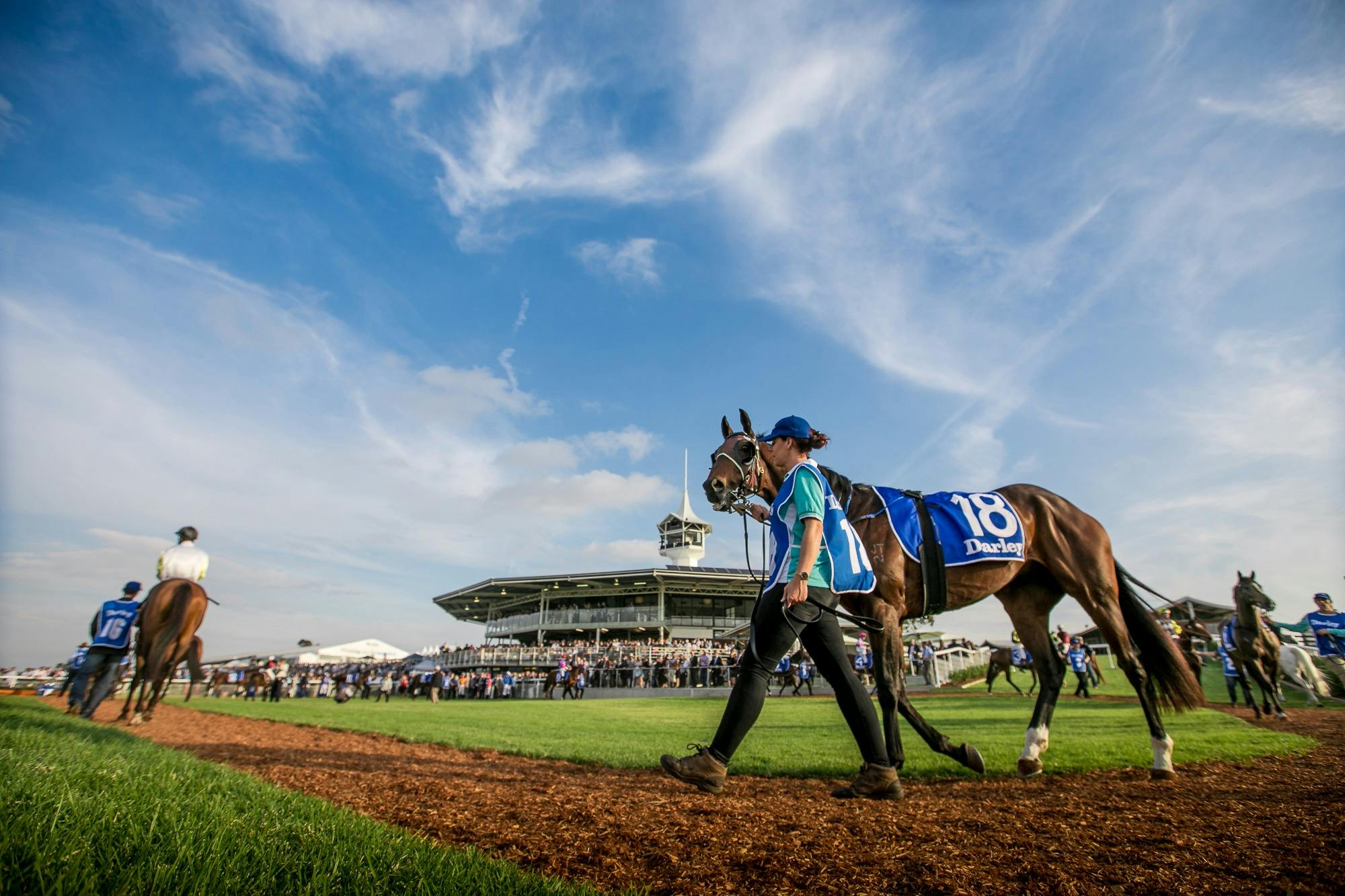 Scone Horse Festival Scone Cup Karneval