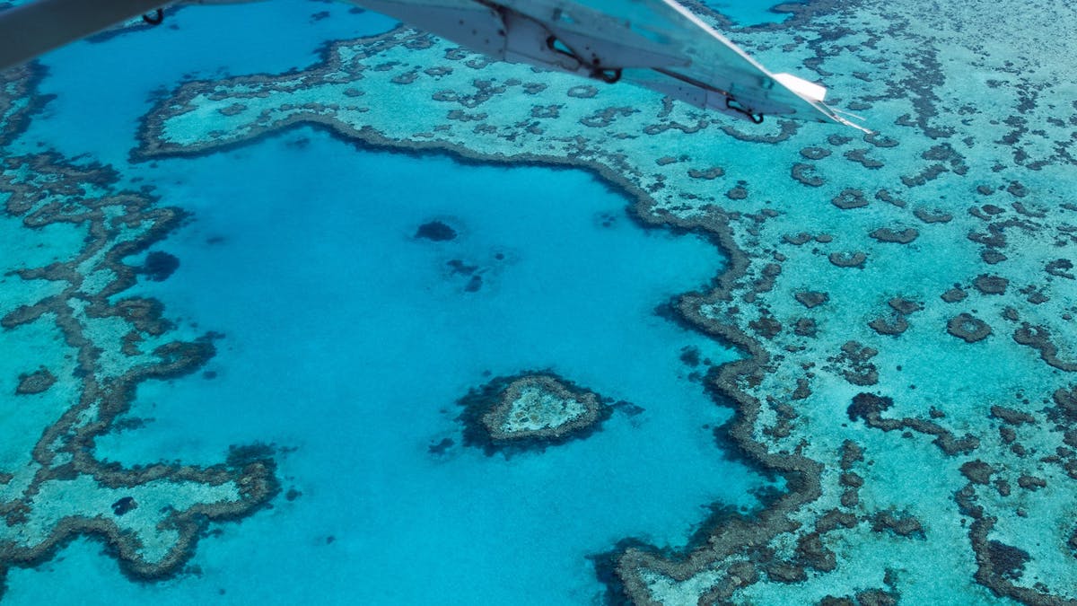 Aerial view of Heart Reef surrounded by turquoise waters on the Great Barrier Reef from a seaplane