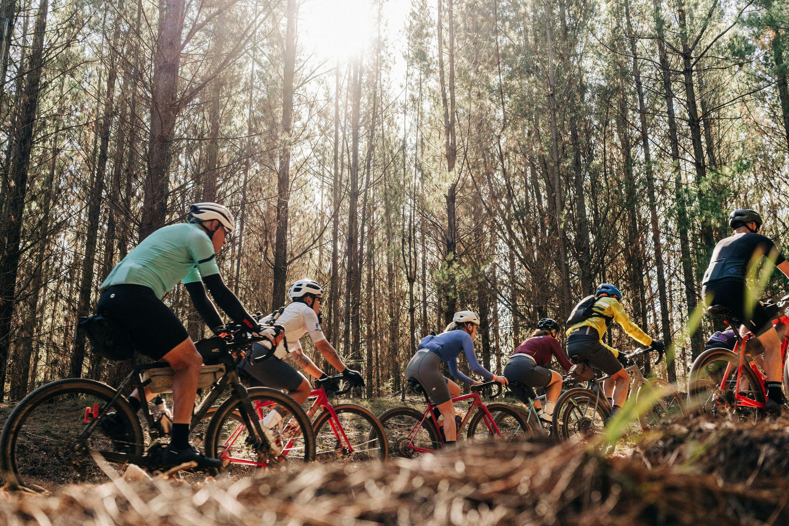Group of people cycling in the forest with sunlight coming through the trees