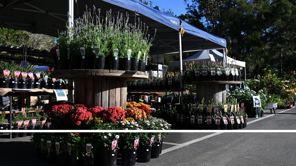 One of 90 Green exhibitors
