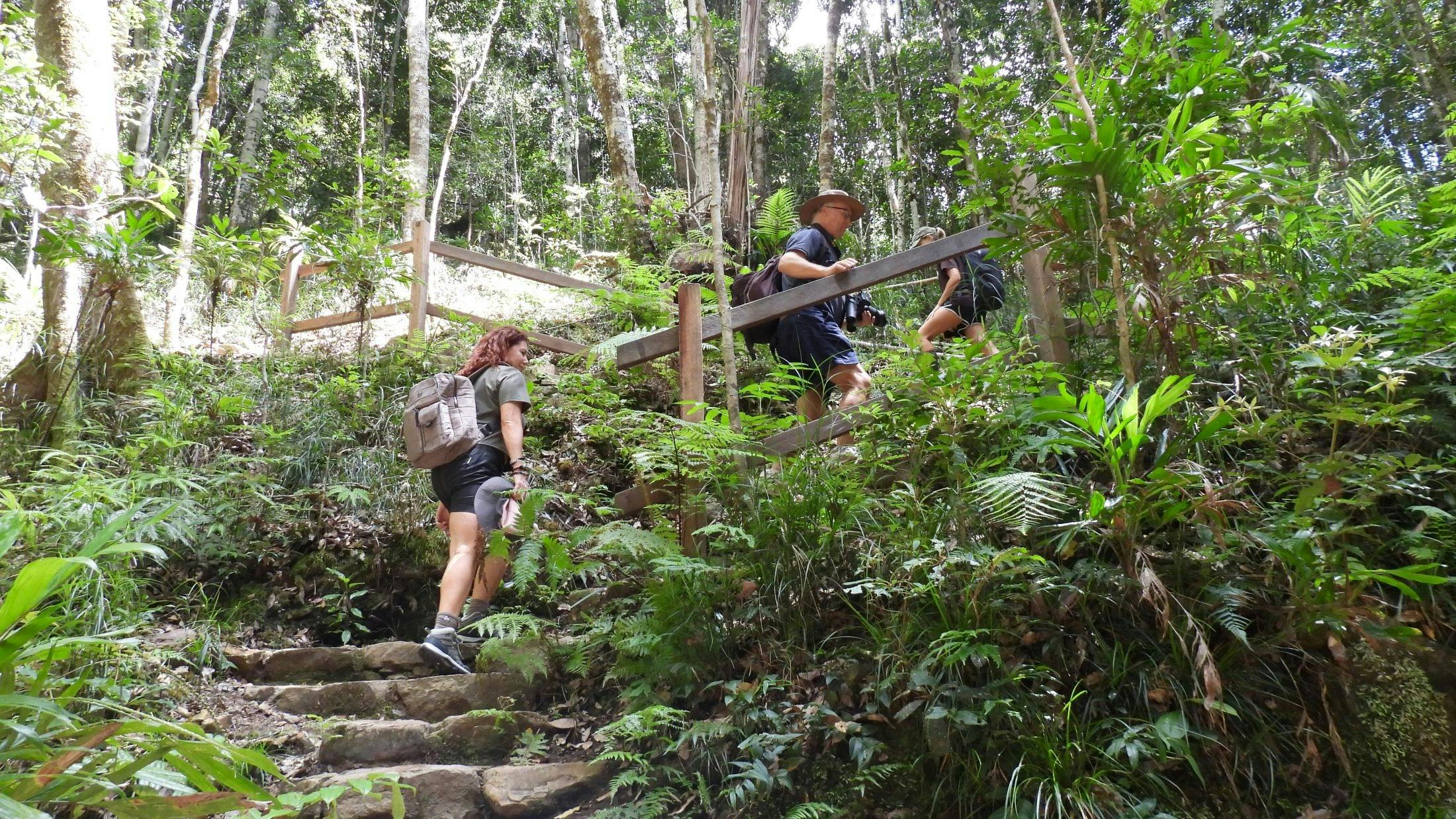 Stairs 2