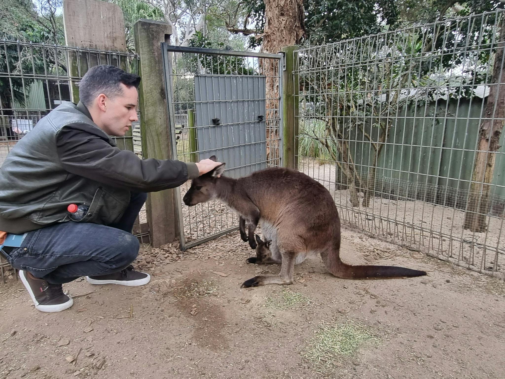 Sydney Private Tours