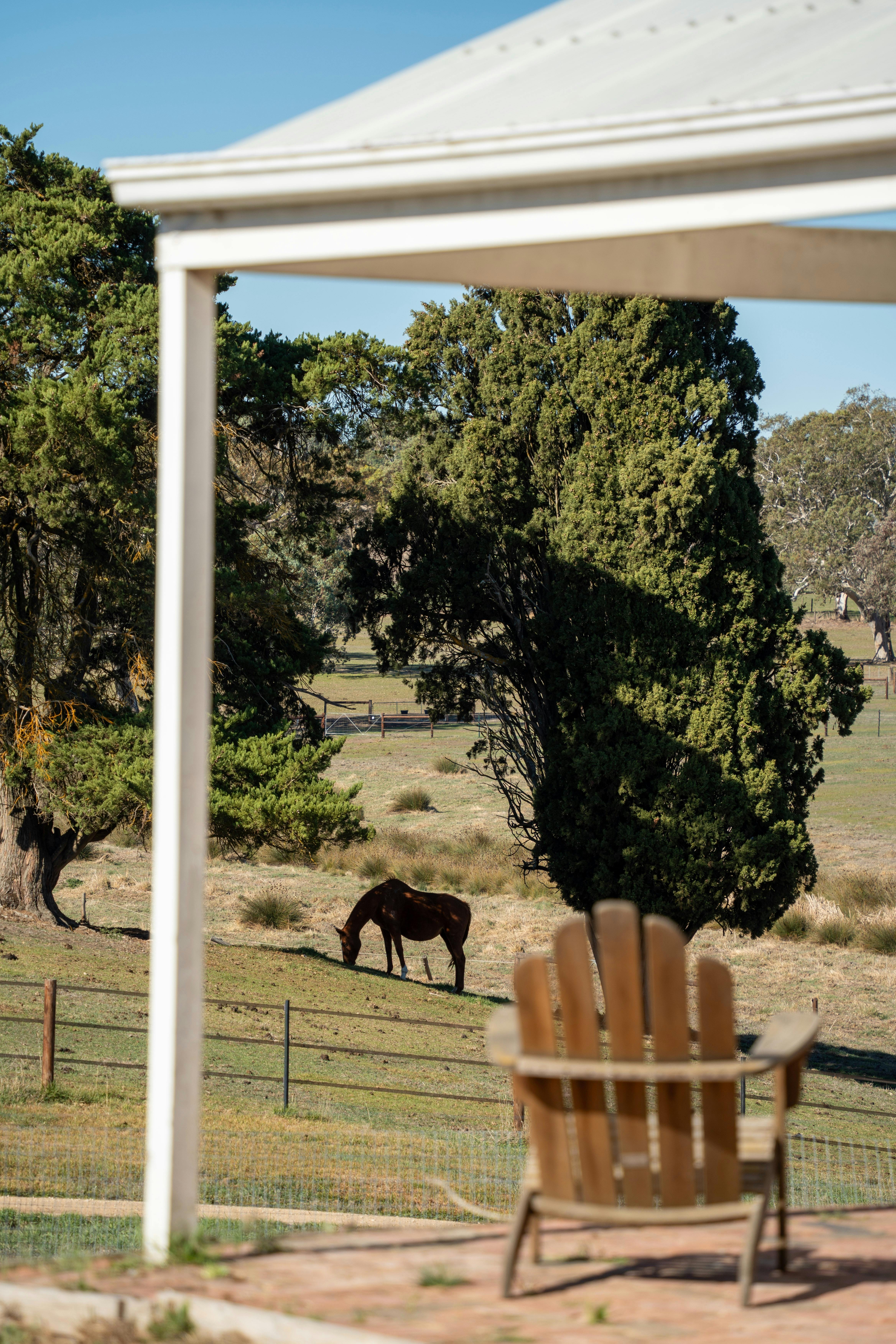 Dairy pergola views