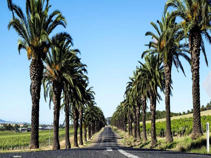 Barossa Valley Wine TourChteau Trail