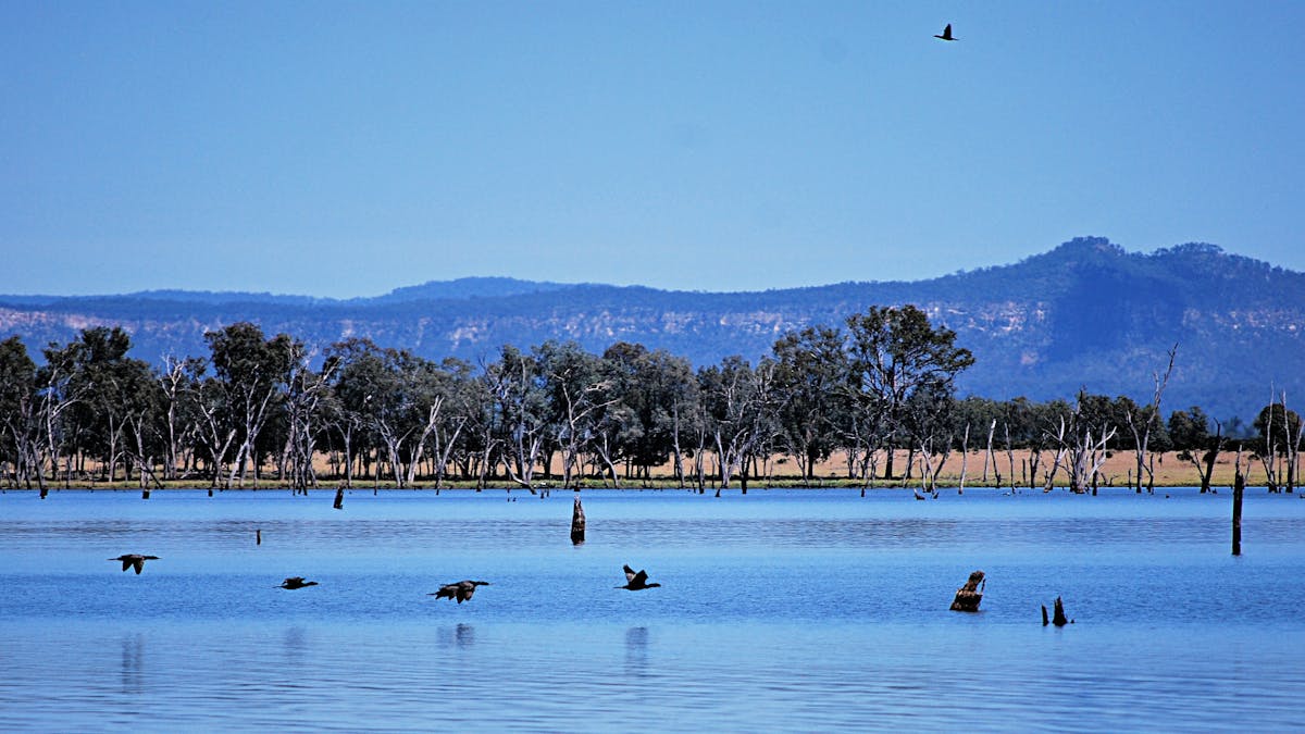 Lake Nuga Nuga Lake Nuga Nuga
