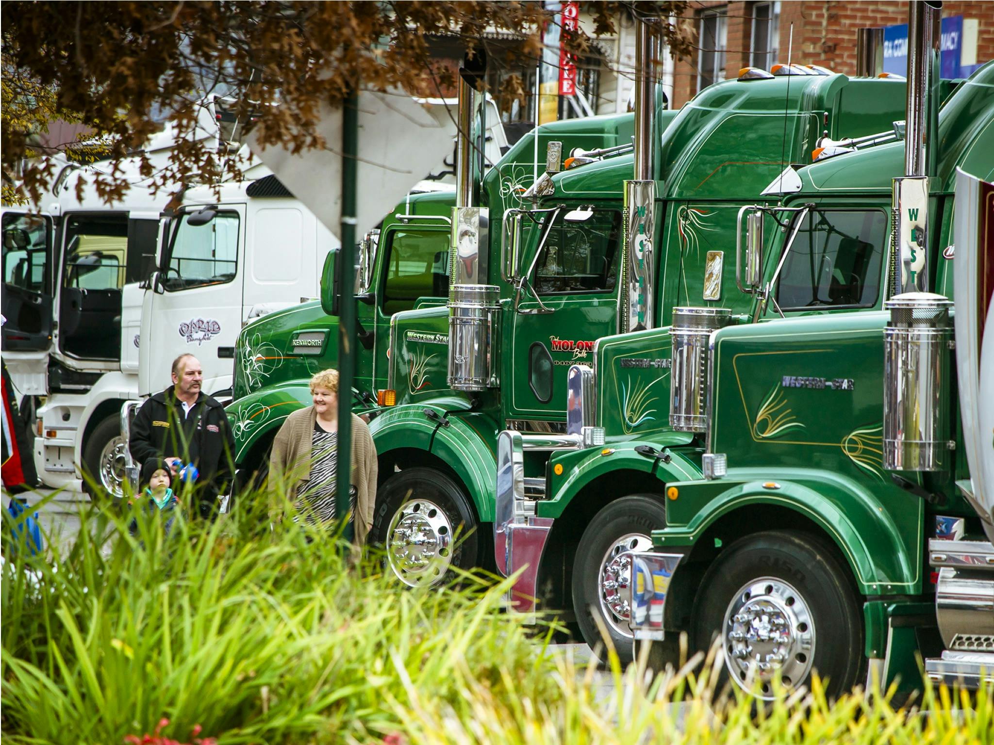 Photo of a fleet of green trucks parked side by side, with gardens in the foreground