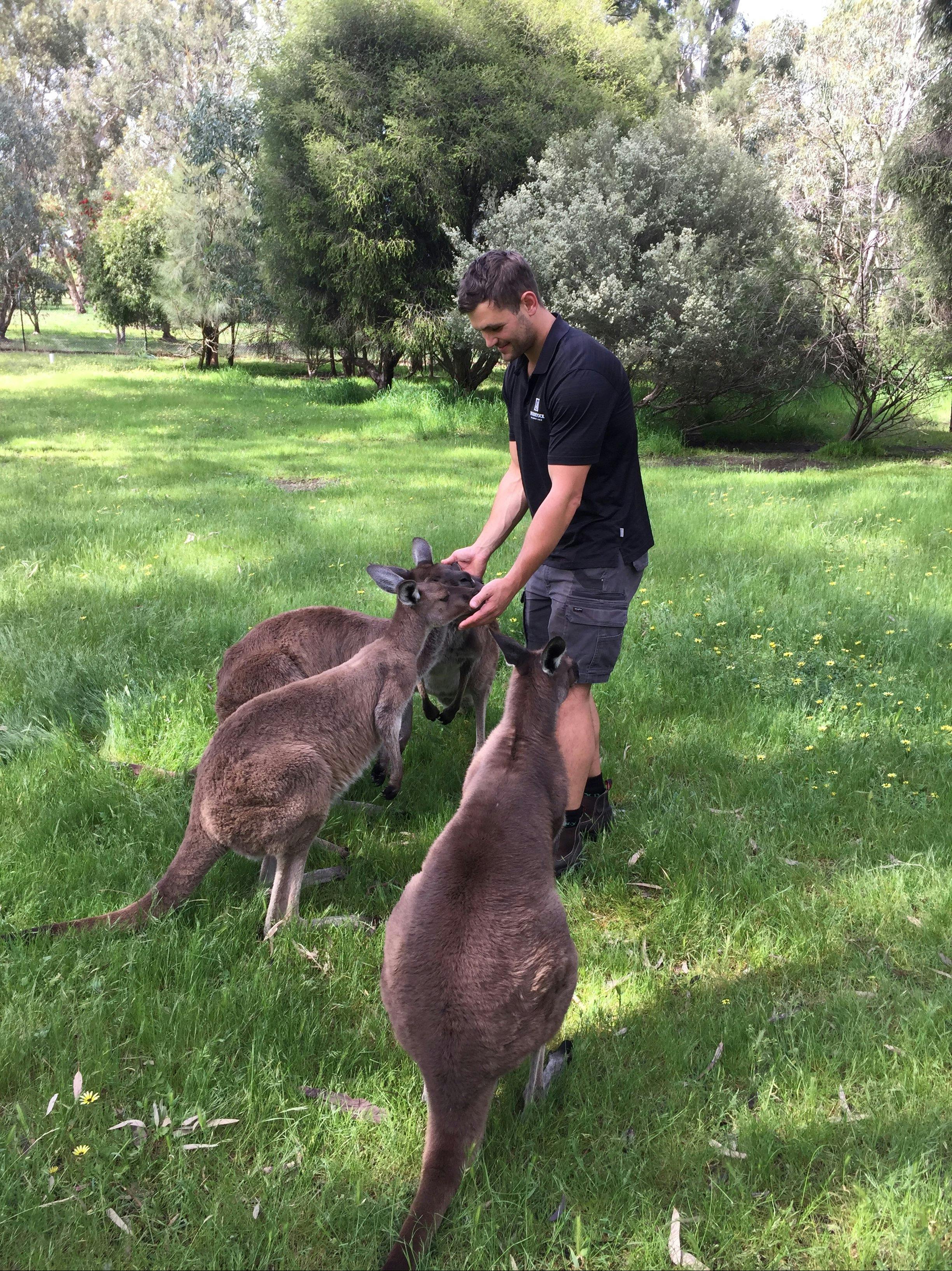 Woodstock Wine Estate Experiences - Wildlife Sanctuary