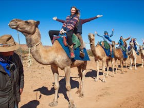 Pyndan Camel Tracks