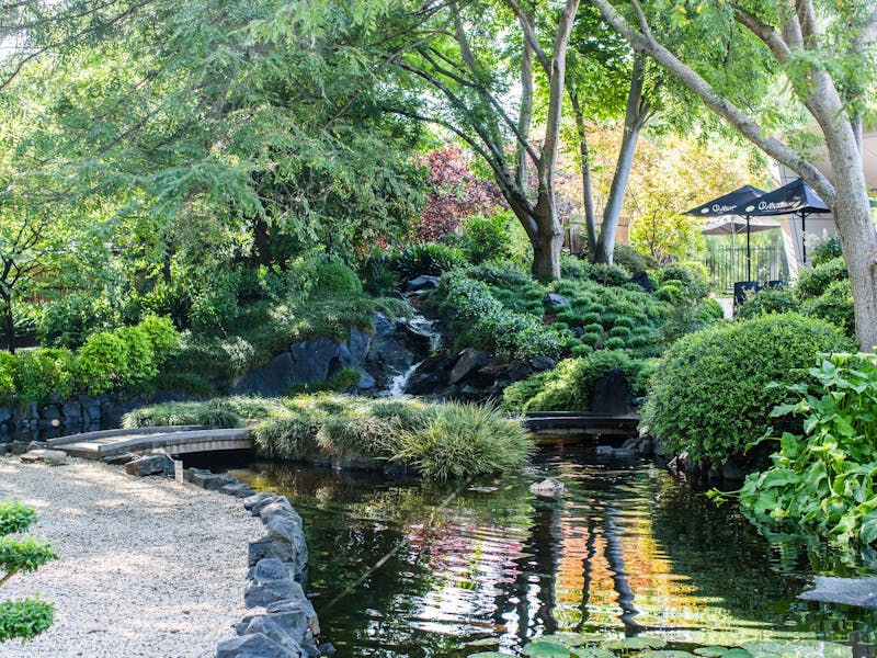 Japanese Gardens  at Campbelltown Arts Centre Sydney 