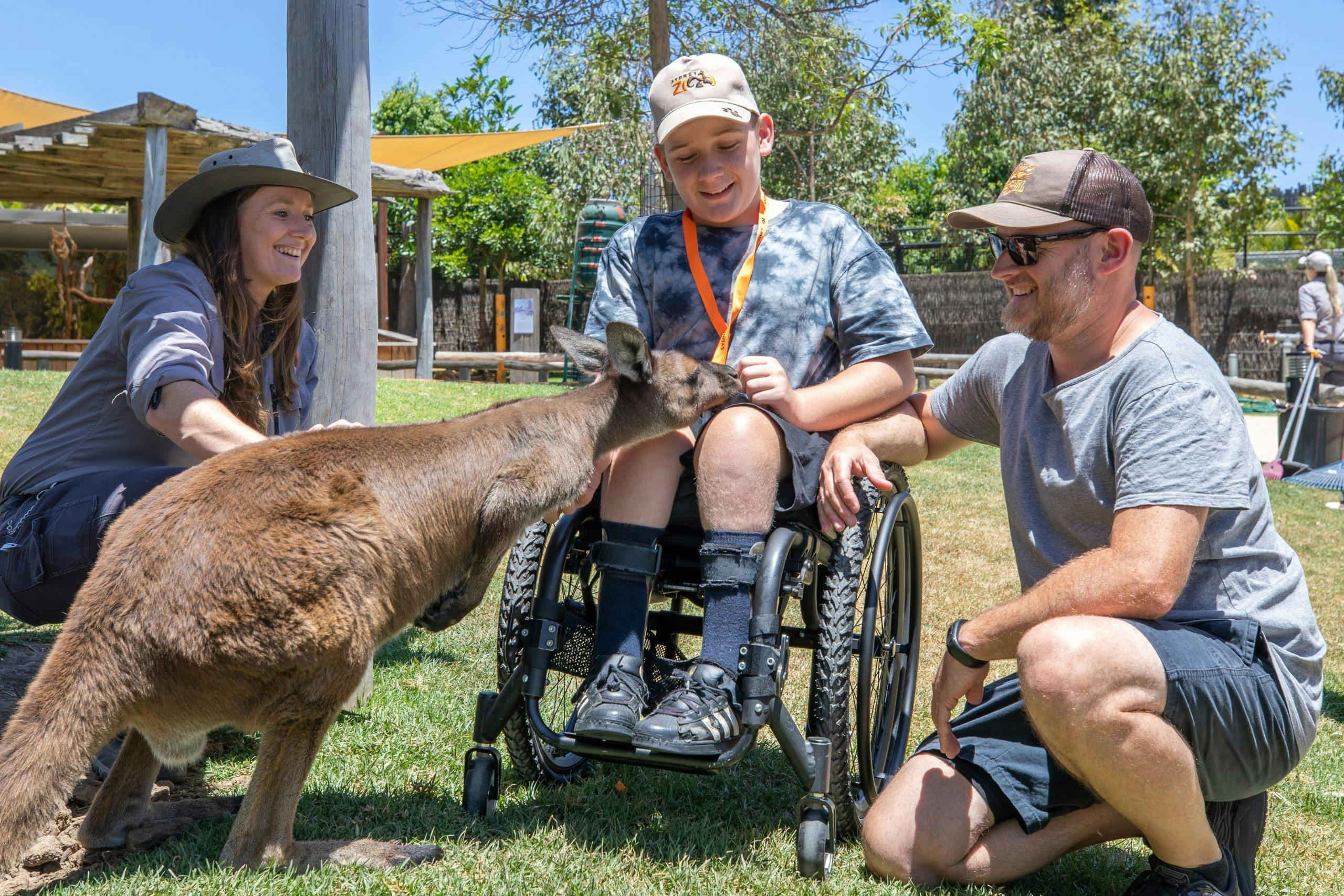 accessible australian native wildlife