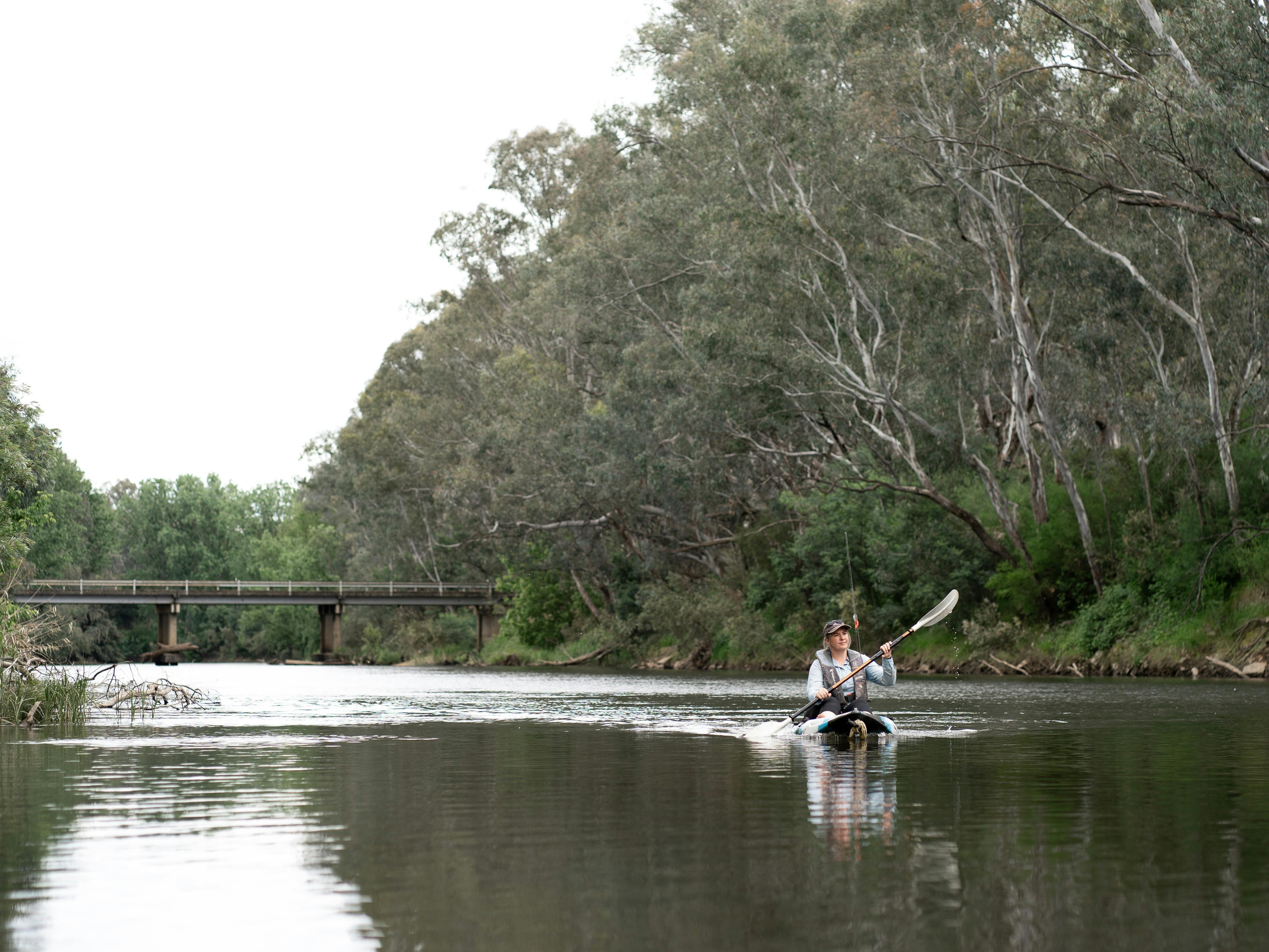Person kayaking on a river with a bridge in the distance.